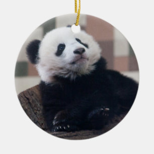 Sweet Giant Panda Baby Ceramic Tree Decoration