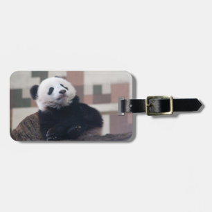 Sweet Giant Panda Baby Luggage Tag