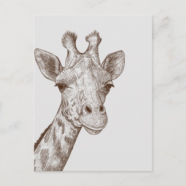 Sweet Giraffe Face Postcard (Front)