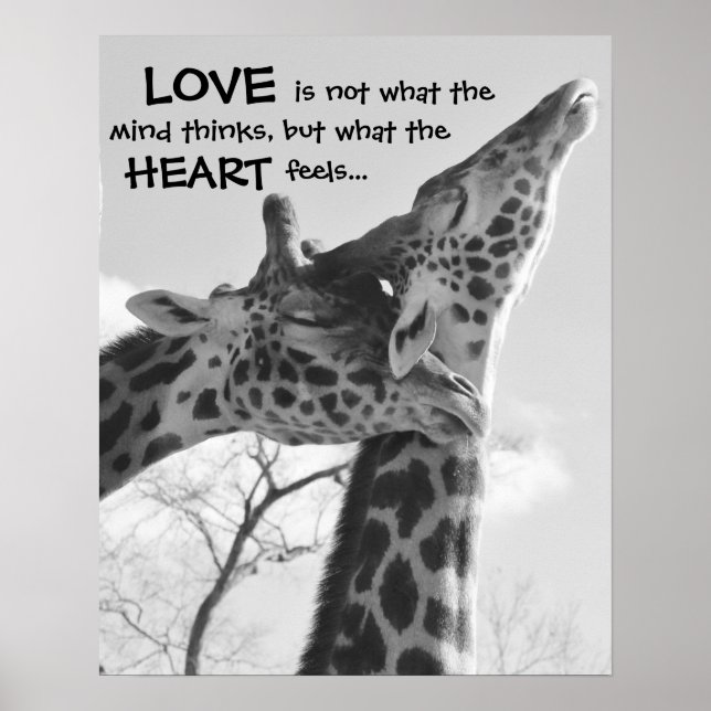 Sweet Giraffe Poster LOVE is what your heart feels (Front)