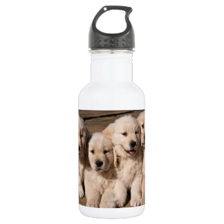 Sweet Golden Retriever Puppies 532 Ml Water Bottle
