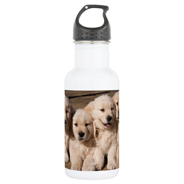 Sweet Golden Retriever Puppies 532 Ml Water Bottle (Front)