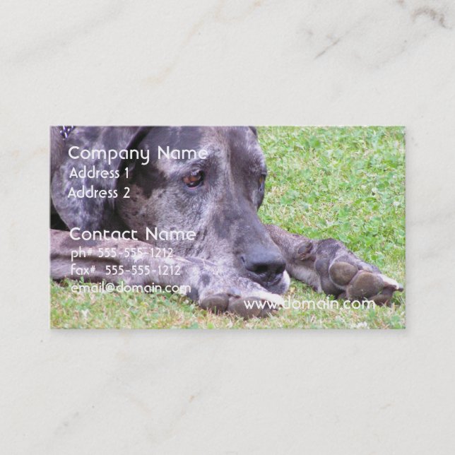 Sweet Great Dane Business Cards (Front)
