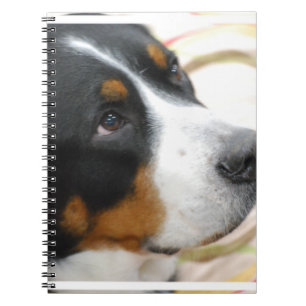 Sweet Greater Swiss Mountain Dog Notebook