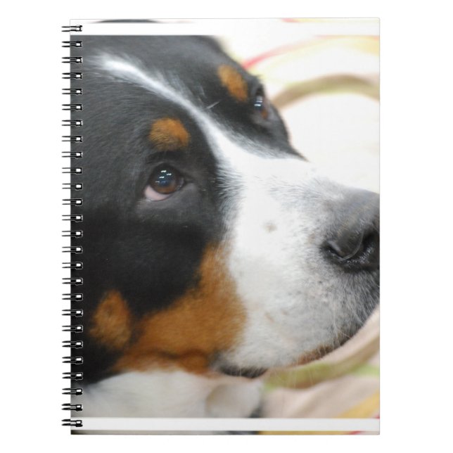 Sweet Greater Swiss Mountain Dog Notebook (Front)