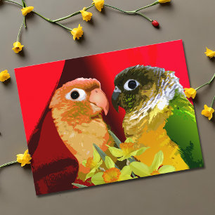 Sweet Green Cheek Conure Parakeets in Love Parrot Postcard