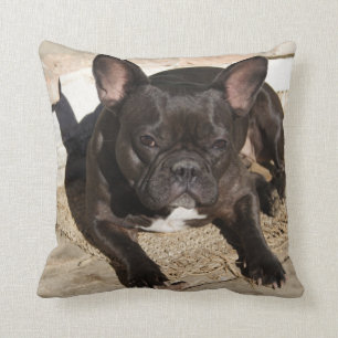 Sweet Grouchy French Bulldog Cushion