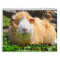 Sweet Guinea Pigs 2016 Calendar