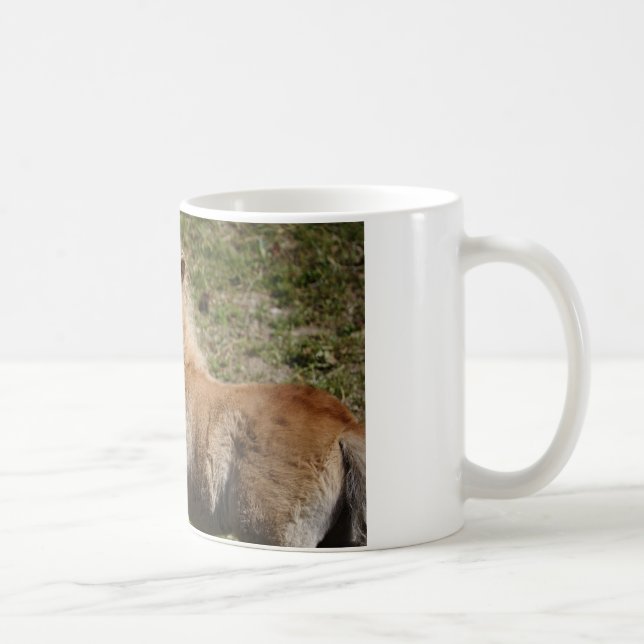Sweet Haflinger Foal Coffee Mug (Right)