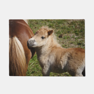 Sweet Haflinger Foal Doormat