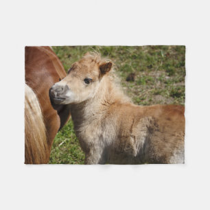 Sweet Haflinger Foal Fleece Blanket