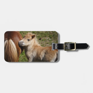 Sweet Haflinger Foal Luggage Tag