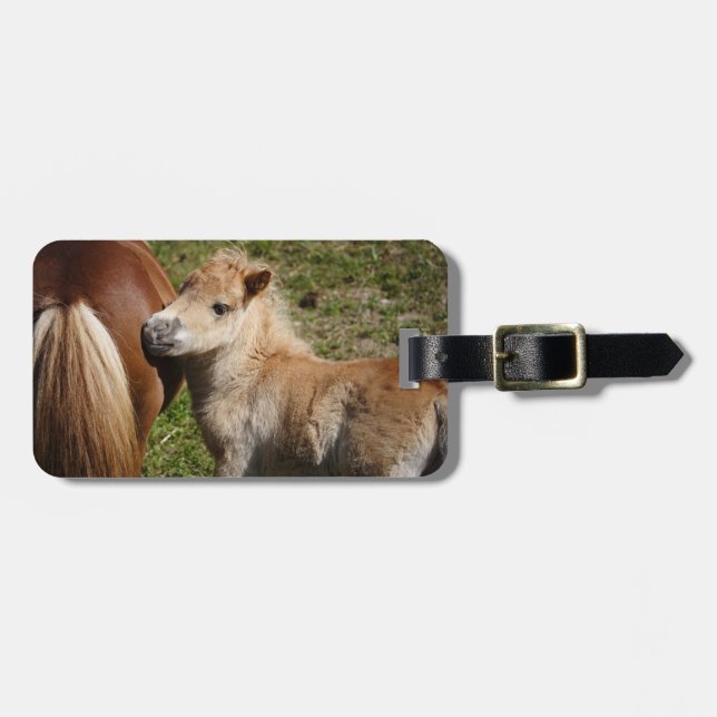 Sweet Haflinger Foal Luggage Tag (Front Horizontal)