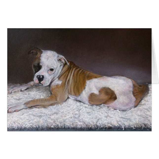 Sweet Heart, American Bulldog (Front Horizontal)