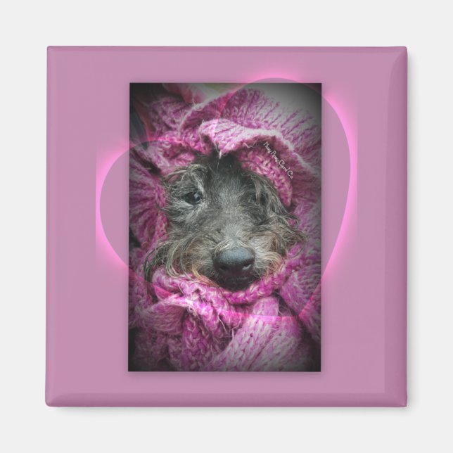 Sweet Heart Magnet (Front)