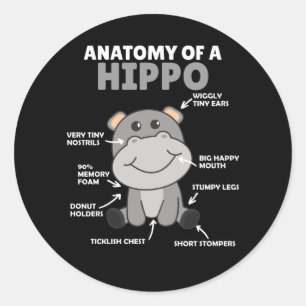 Sweet Hippo Statement Anatomy Of a Hippo Classic Round Sticker