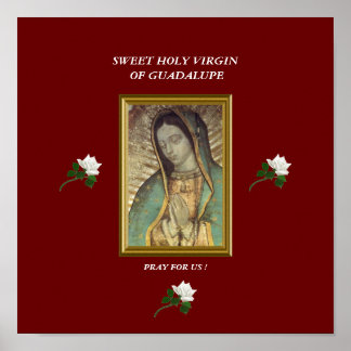 SWEET HOLY VIRGIN OF GUADALUPE PRAY FOR US POSTER