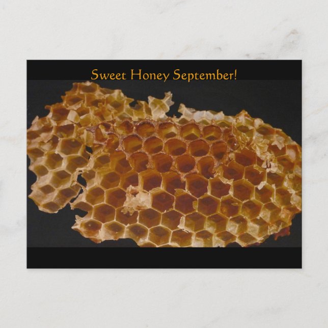 Sweet Honey September! Postcard (Front)
