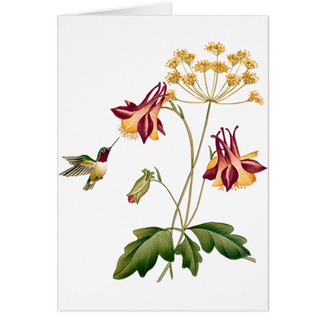 Sweet Hummingbird Vintage Botanical Garden (Front)