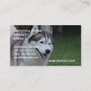 Sweet Husky Business Card