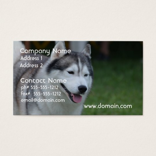 Sweet Husky Business Card