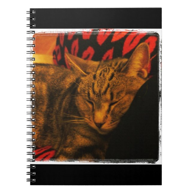 Sweet Indigo Snuggles Notebook (Front)