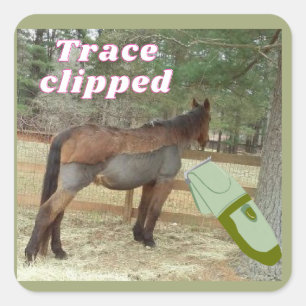 sweet Jamie trace clipped Square Sticker