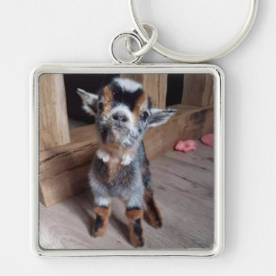 SWEET "KID" (BABY GOAT) KEYCHAIN