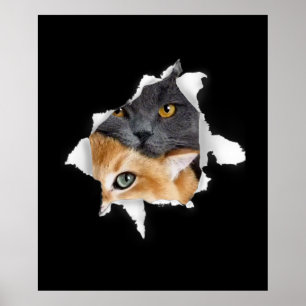 Sweet Kitten Couple Funny Cat Lover Gift Poster