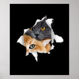 Sweet Kitten Couple | Funny Cat Lover Gift Poster