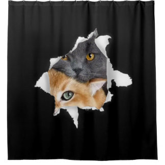 Sweet Kitten Couple | Funny Cat Lover Gift Shower Curtain