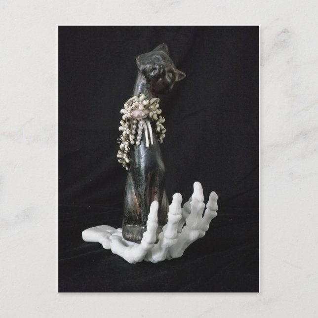 Sweet Kitten Postcard (Front)