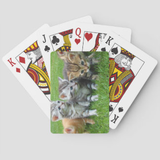 Sweet Kittens Bunch Playing Cards