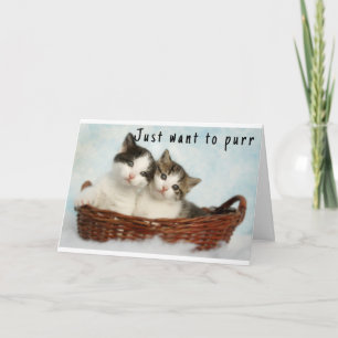"SWEET KITTENS" HAPPY BIRTHDAY  CARD