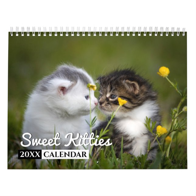 Sweet Kitties Photo Wall Calendar (Cover)