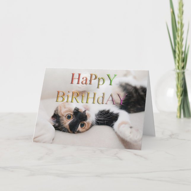 Sweet kitty happy birthday card (Front)