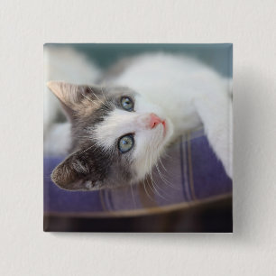 Sweet Kitty In Plaid Bed 15 Cm Square Badge