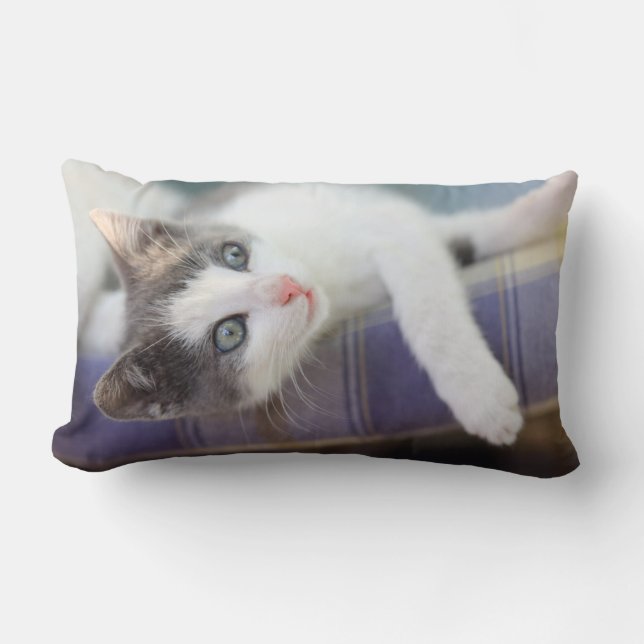 Sweet Kitty In Plaid Bed Lumbar Cushion (Front)