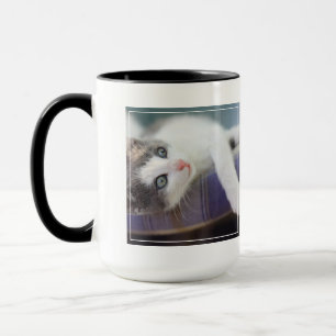 Sweet Kitty In Plaid Bed Mug