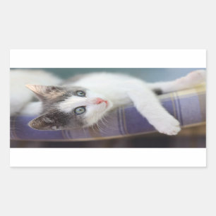 Sweet Kitty In Plaid Bed Rectangular Sticker