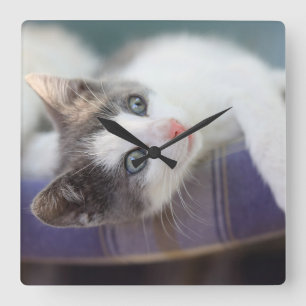 Sweet Kitty In Plaid Bed Square Wall Clock