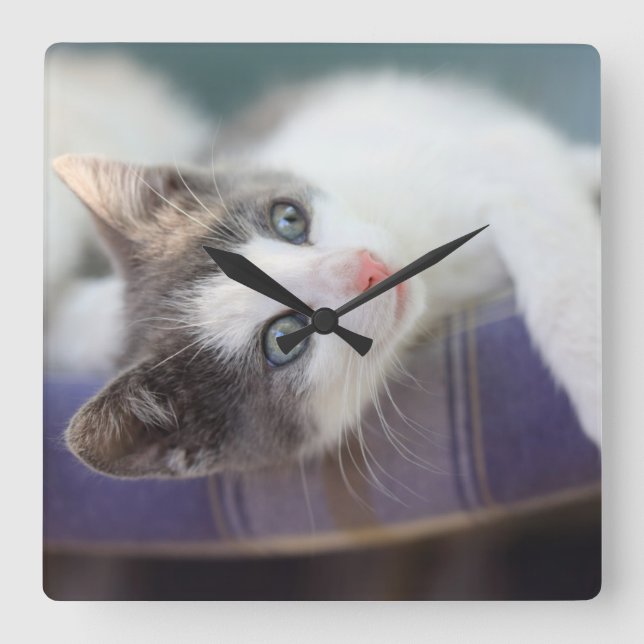 Sweet Kitty In Plaid Bed Square Wall Clock (Front)