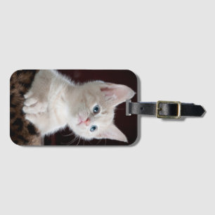 Sweet kitty luggage tag
