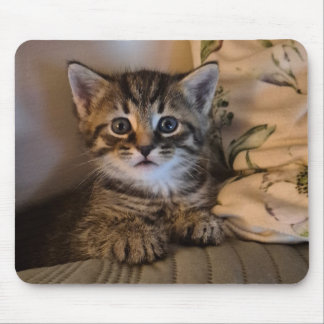 Sweet kitty mouse mat
