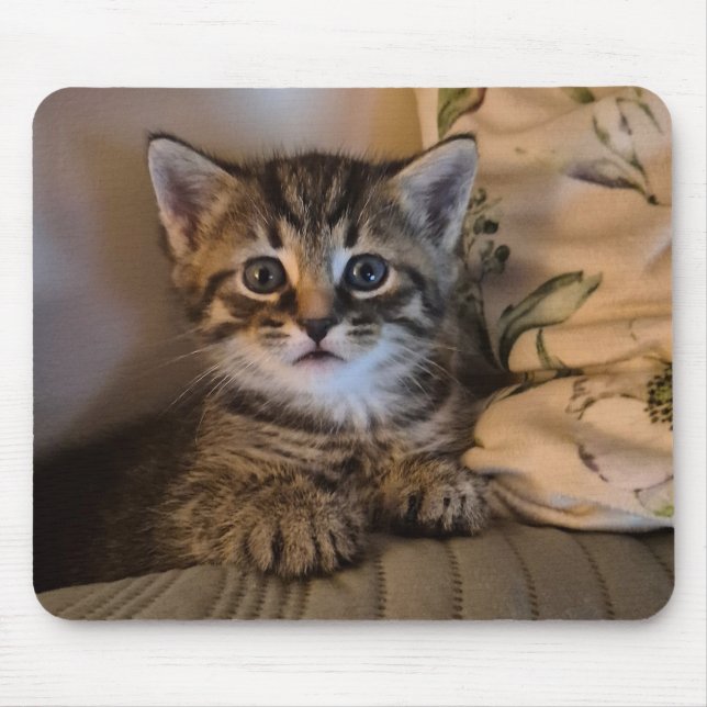 Sweet kitty mouse mat (Front)