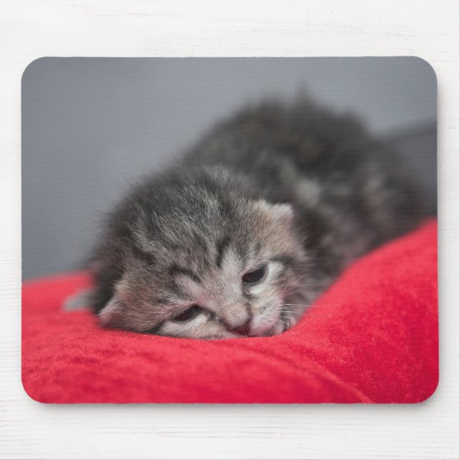 Sweet kitty mouse mat (Front)