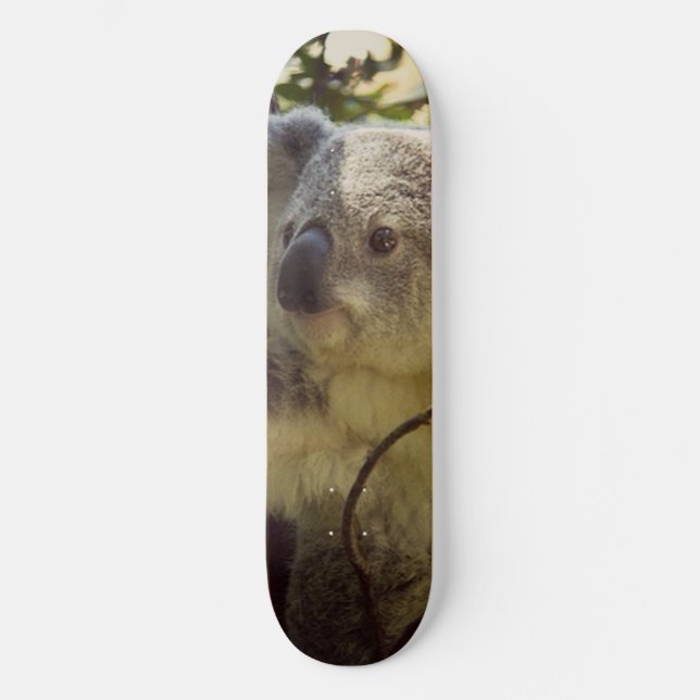 sweet koala 2b skateboard (Front)