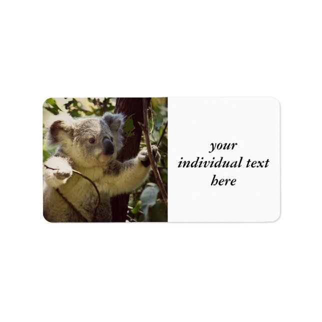 sweet Koala baby Label (Front)