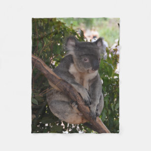 Sweet Koala Bear Fleece Blanket