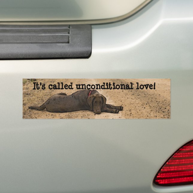 Sweet Labrador Retriever On A Forest Trail Bumper Sticker (On Car)